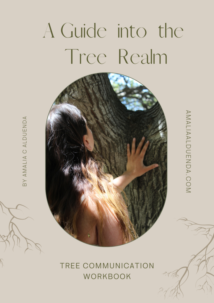 A guide into Tree realm, tree communication workbook